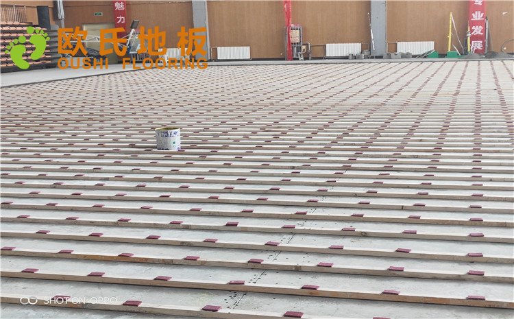 西寧市世紀(jì)職業(yè)技術(shù)學(xué)校籃球訓(xùn)練館木地板圖片