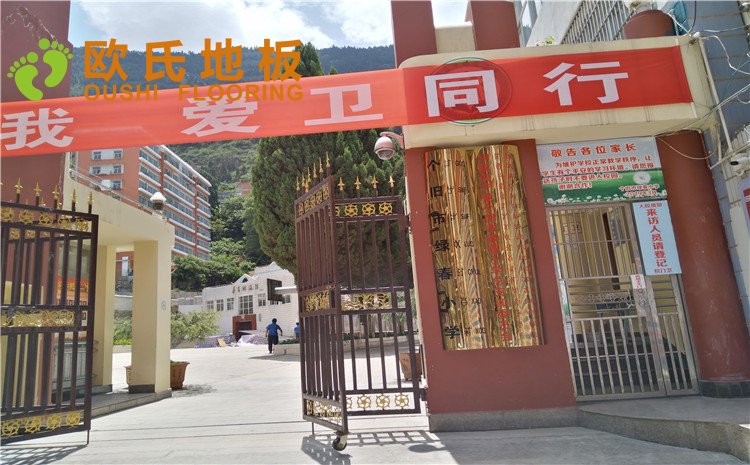 云南省紅河州綠春小學(xué)體育館木地板項目